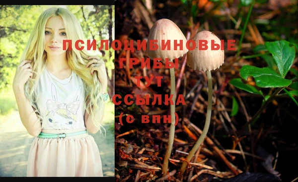 мдпв Мегион
