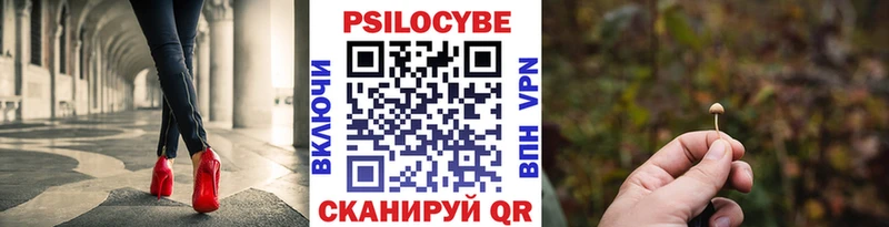 Галлюциногенные грибы MAGIC MUSHROOMS  мега   Нижневартовск  где купить наркоту 