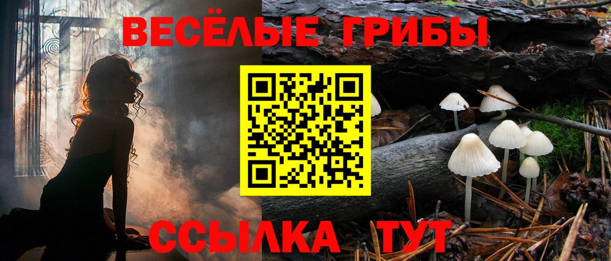Галлюциногенные грибы Magic Shrooms Нижневартовск