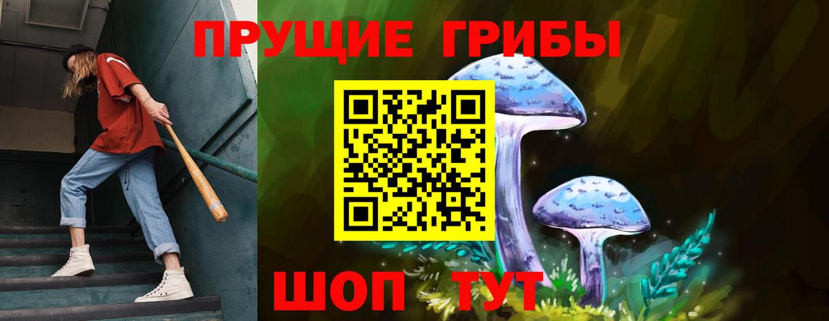Галлюциногенные грибы Psilocybe  Нижневартовск 